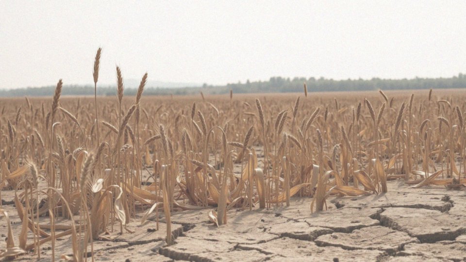Jakie są skutki globalnego ocieplenia w kontekście ekstremalnych temperatur?